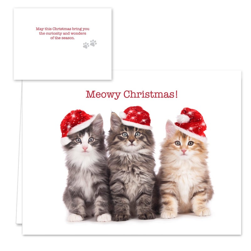 Canopy Street Christmas Cats Holiday Card Assortment Pack / 25 Seasonal Kitten Greeting Cards And Envelopes / 5 Sleeping Santa Animal Designs And Christmas Messages - Image 2